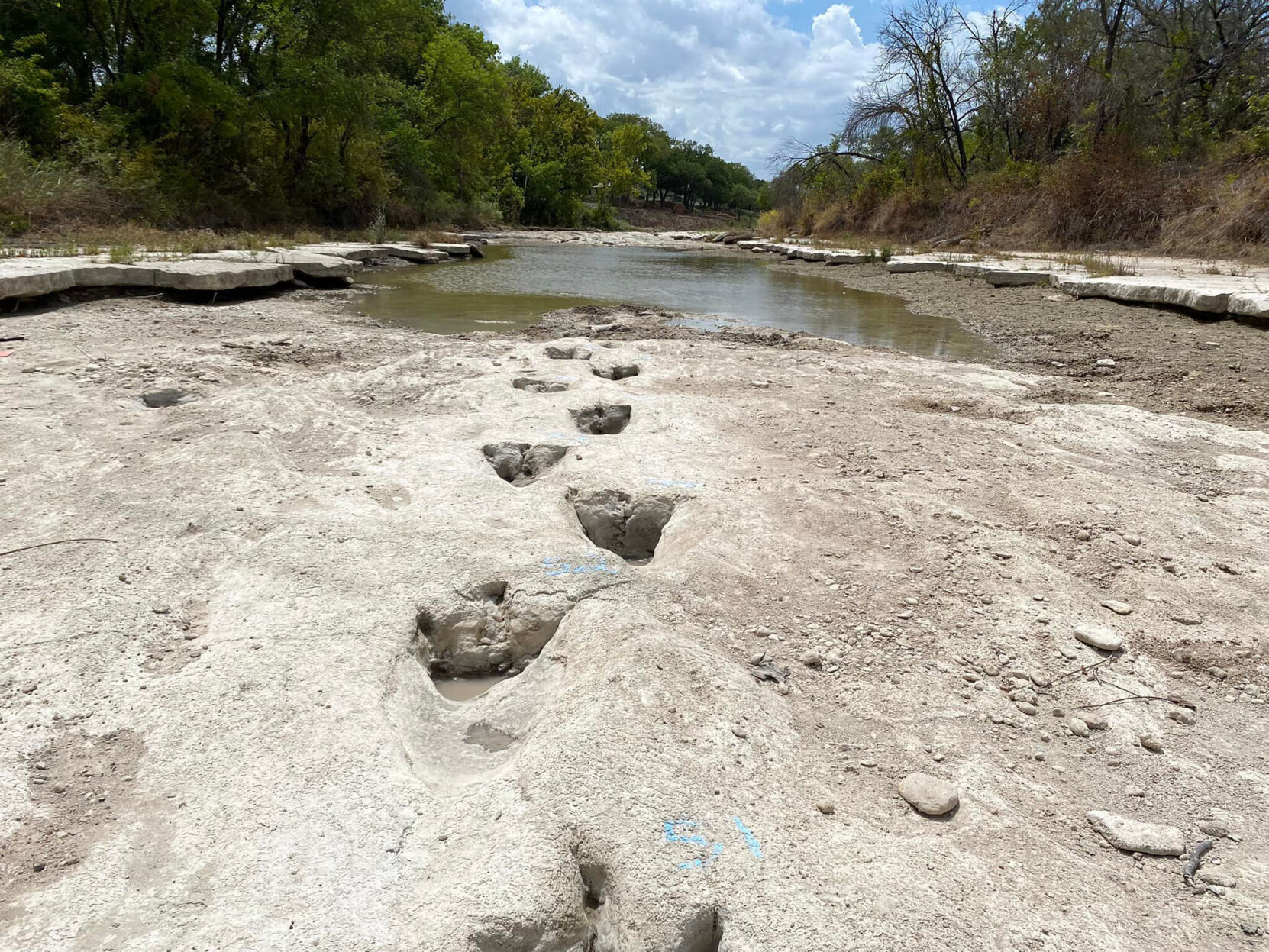 Dinosaur tracks from 113 million years ago uncovered due to severe drought conditions at Dinosaur Valley State Park